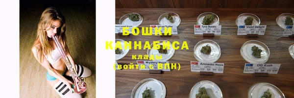амф Россошь