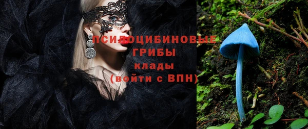 крисы Ростов
