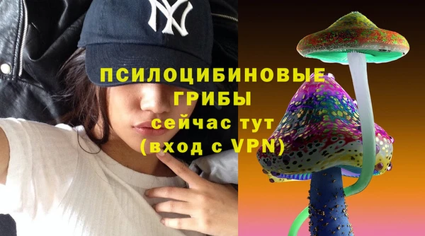 метадон Алексеевка