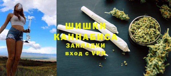 амф Россошь